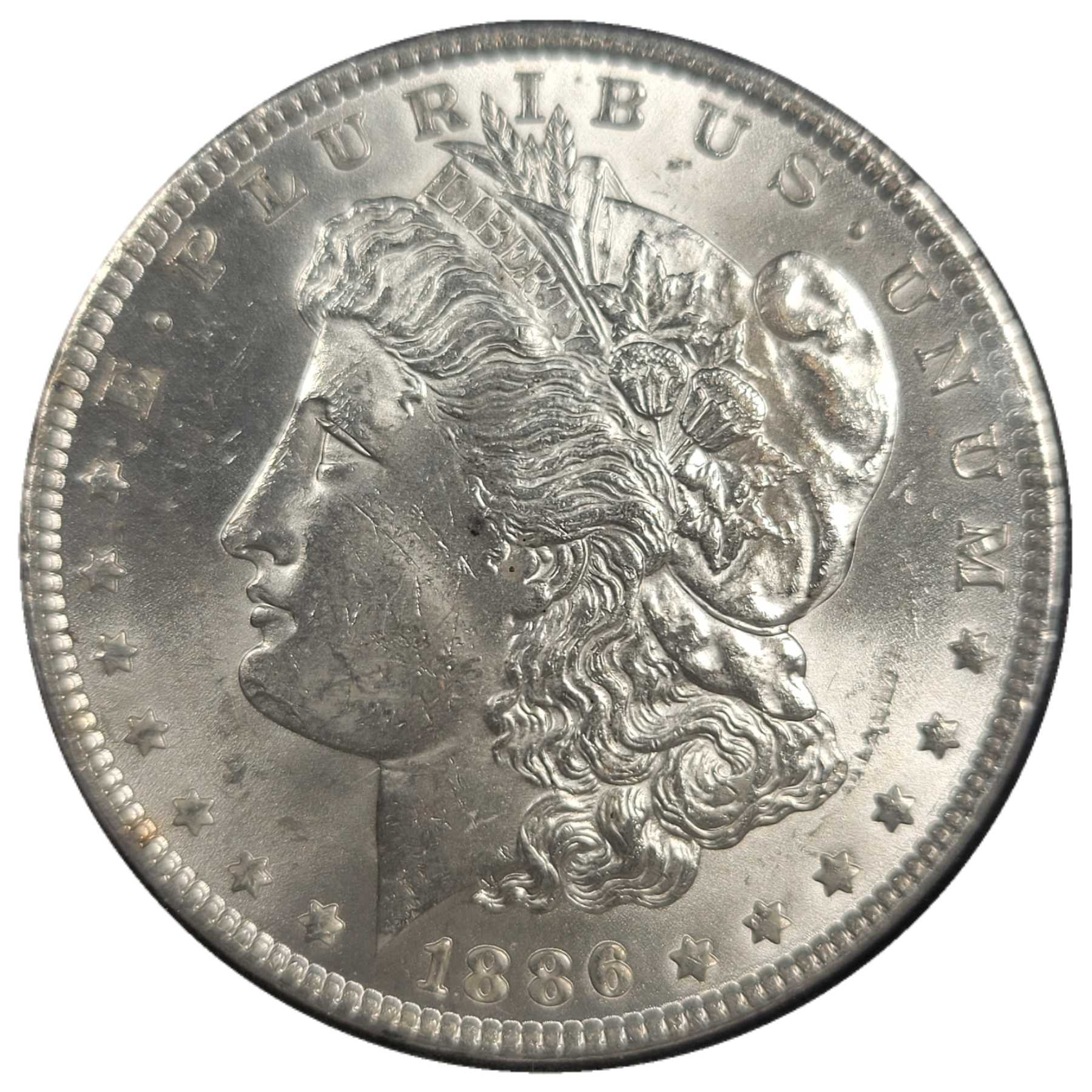 1886-$1-Morgan-Dollar-#9